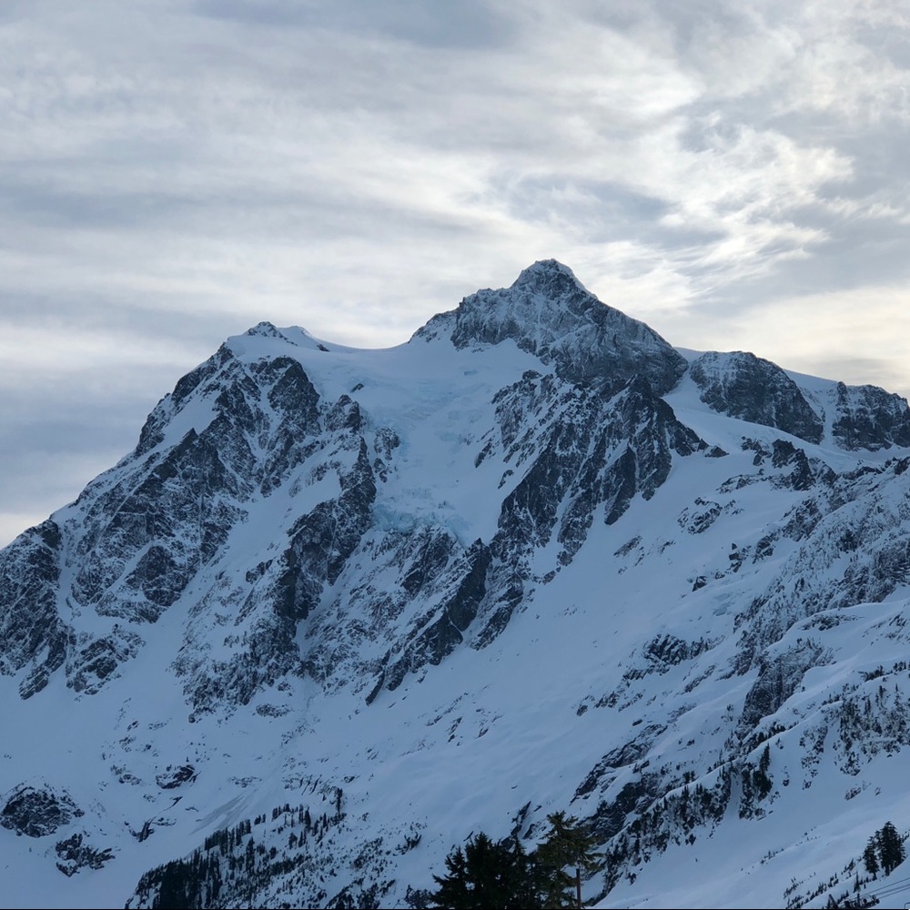 Meet your Posher, Nono